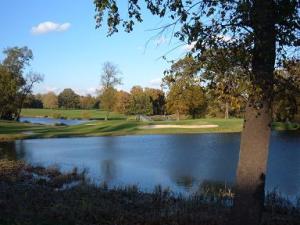 a body of water surrounded by trees